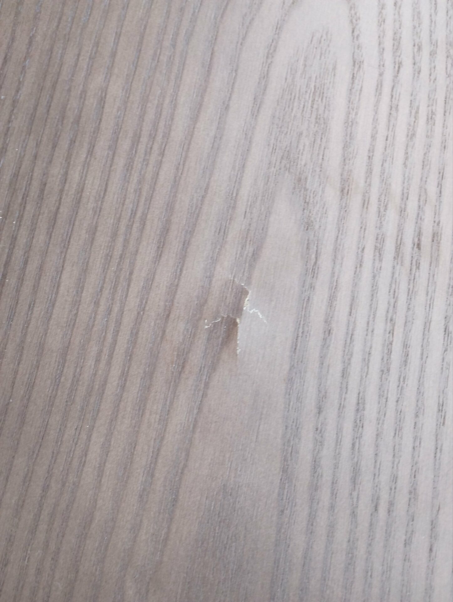 Table basse Paleta en bois peau de frêne teinte noyer – Image 4