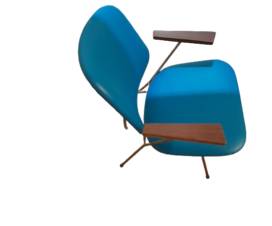 Fauteuil vintage Willem Hendrik GISPEN